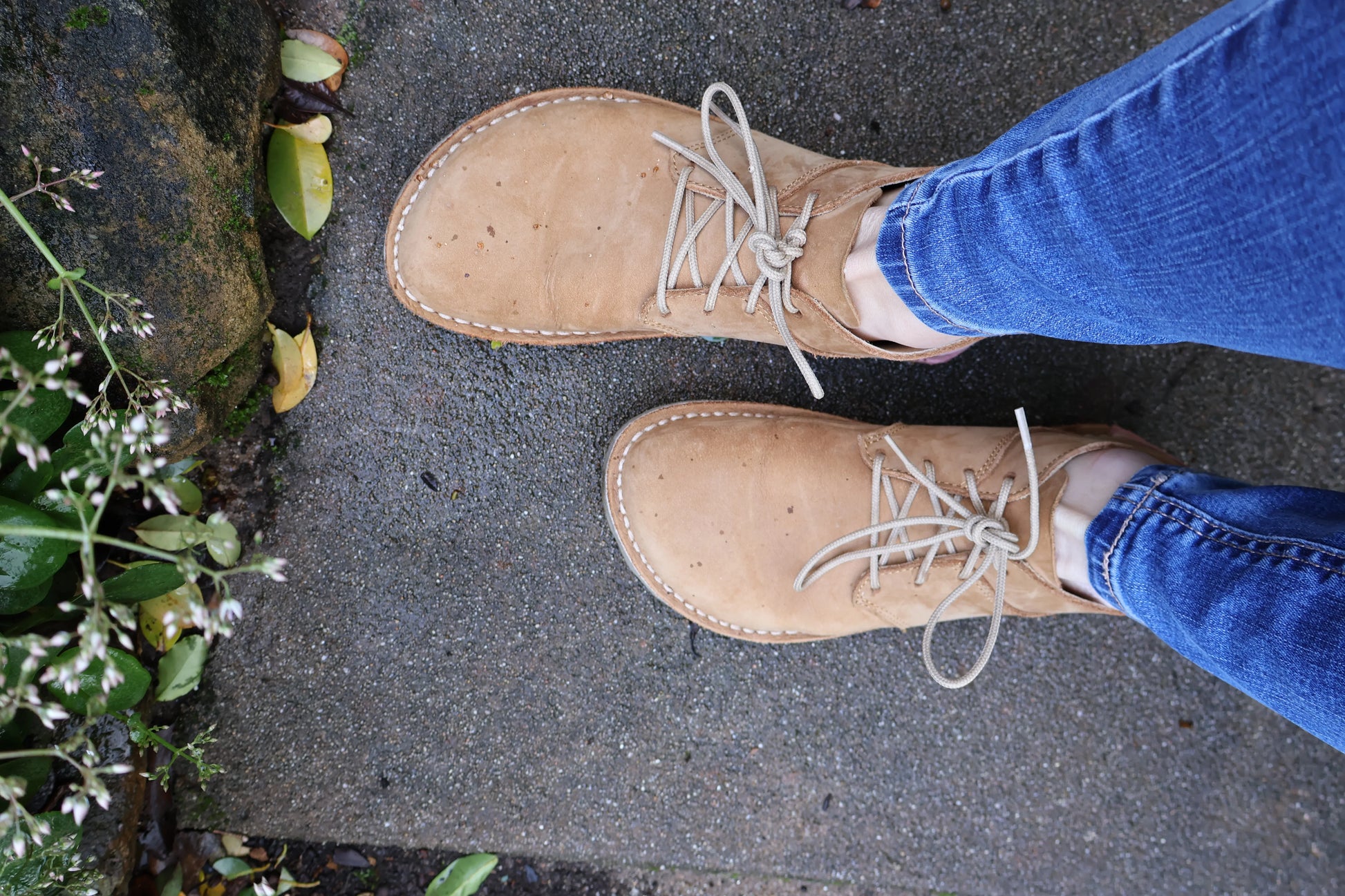 Top view of tan suede lace-up shoes worn with blue jeans on a concrete path near green foliage