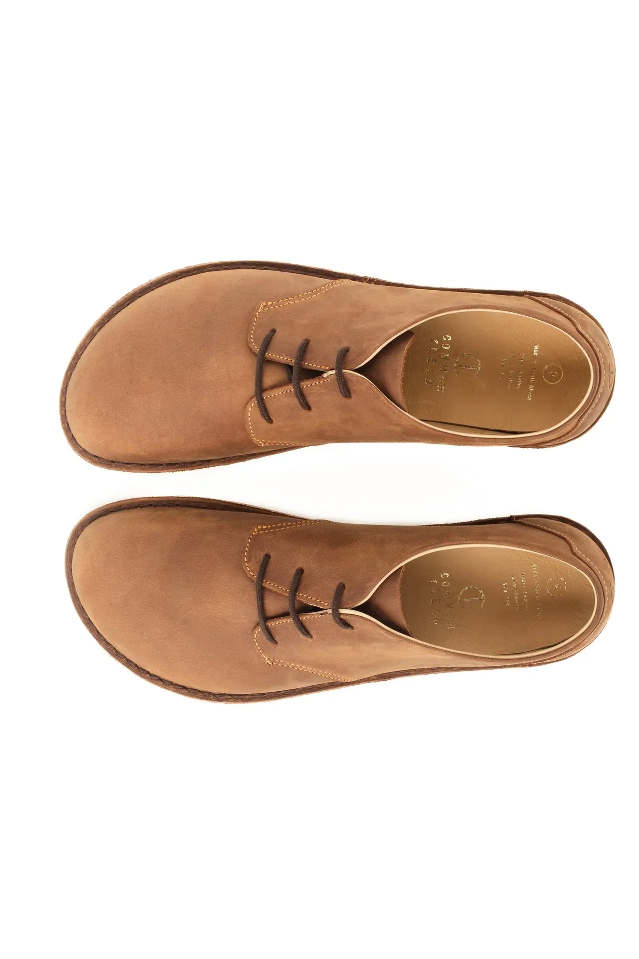 Pair of brown leather lace-up casual shoes top view on white background
