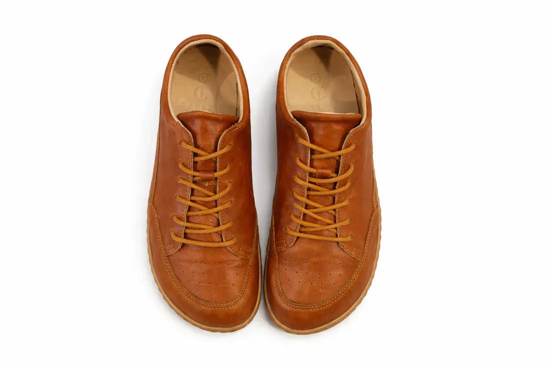 Pair of brown leather shoes on a white background