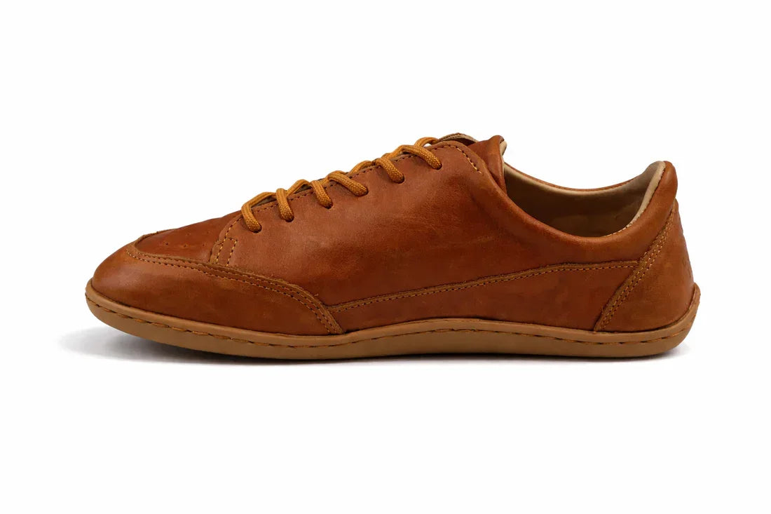 Brown leather sneaker on a white background