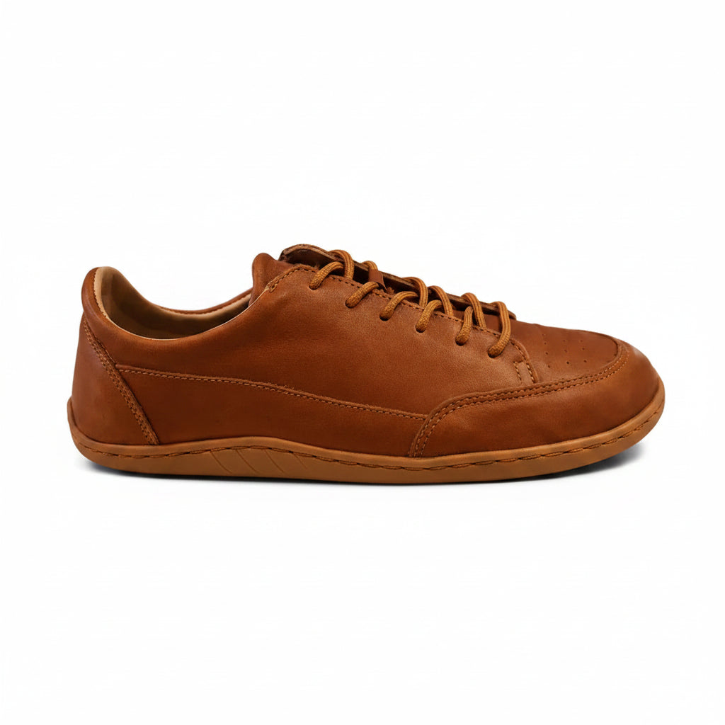 Brown leather sneaker on a white background