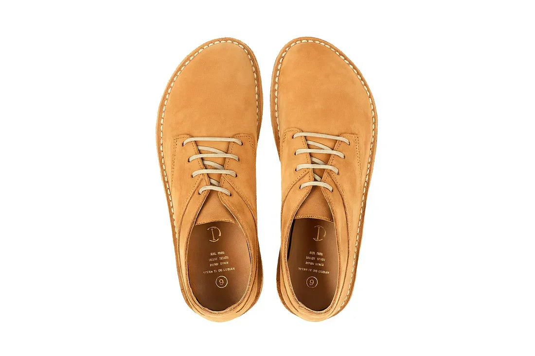 Top view of tan leather barefoot shoes with beige laces on white background
